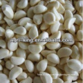 Bulk IQF Frozen Fresh Peeled Garlic Cloves